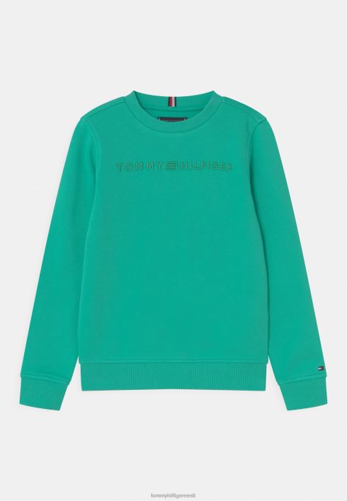 teadliku logoga unisex dressipluus RJV627552 piparmünt Tommy Hilfiger