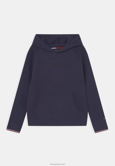teadlik logoga kapuutsiga kampsun RJV627697 hämar merevägi Tommy Hilfiger