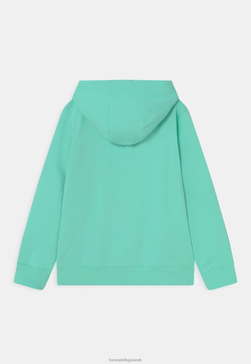 Essential hoodie unisex hoodie RJV627347 selge laguun Tommy Hilfiger