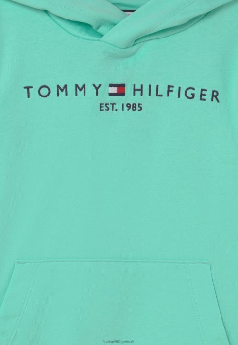 Essential hoodie unisex hoodie RJV627347 selge laguun Tommy Hilfiger