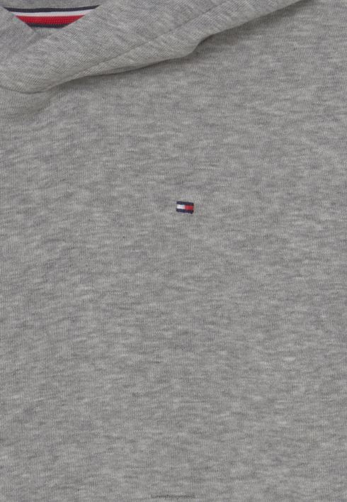 globaalne kapuuts RJV627410 helehall kanarbik Tommy Hilfiger