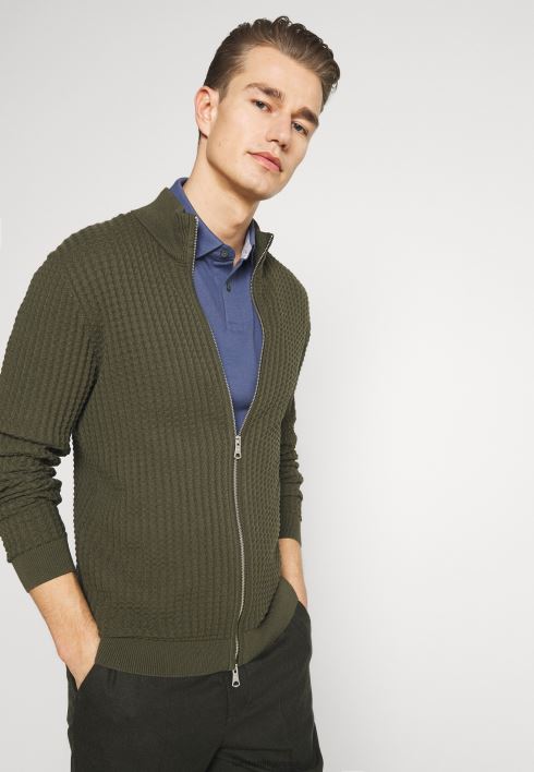 tavaline polosärk RJV623970 pleekinud indigo Tommy Hilfiger