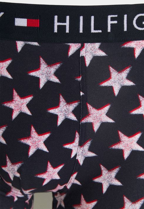 pagasiruumi püksid RJV628942 nihe Tommy Hilfiger