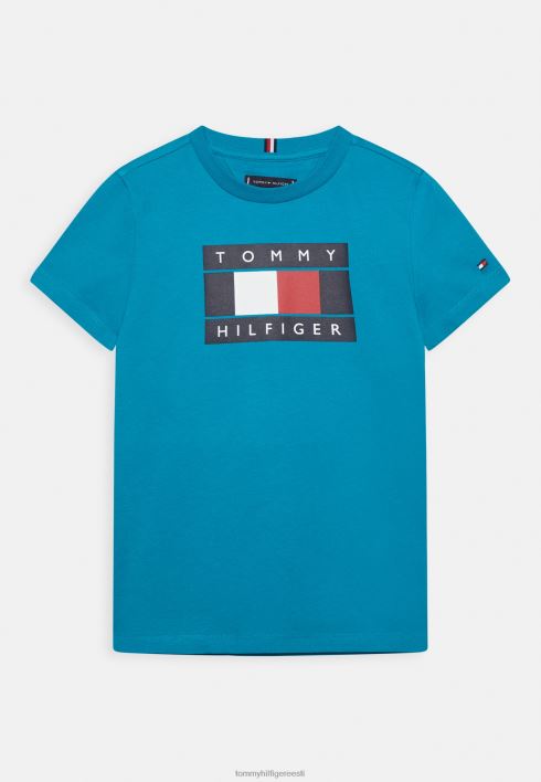 globaalse triibulise lipuga t-särk RJV628031 uus sinine Tommy Hilfiger