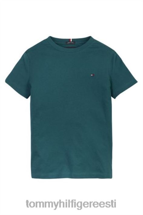 hädavajalik puuvillane T-särk RJV623326 sinine Tommy Hilfiger