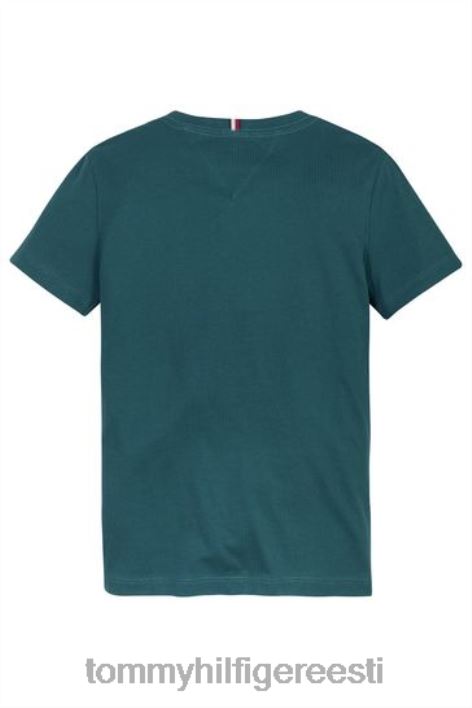 hädavajalik puuvillane T-särk RJV623326 sinine Tommy Hilfiger