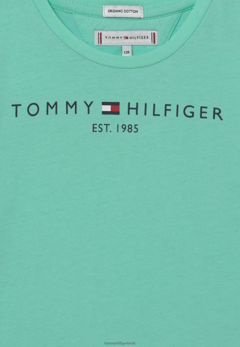 hädavajalik t-särk RJV627213 selge laguun Tommy Hilfiger