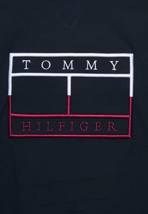 lipuga t-särk RJV626116 kõrbe taevas Tommy Hilfiger