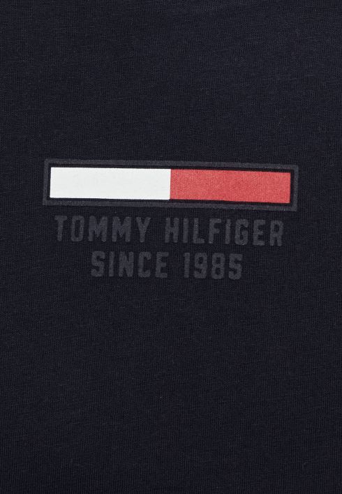lipulogoga t-särk RJV625981 kõrbe taevas Tommy Hilfiger