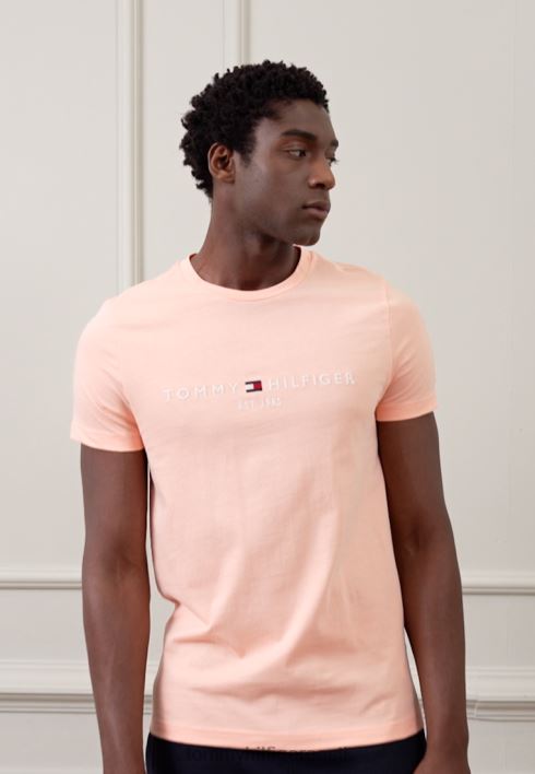 logoga T-särk RJV624160 päikeseloojangu virsik Tommy Hilfiger