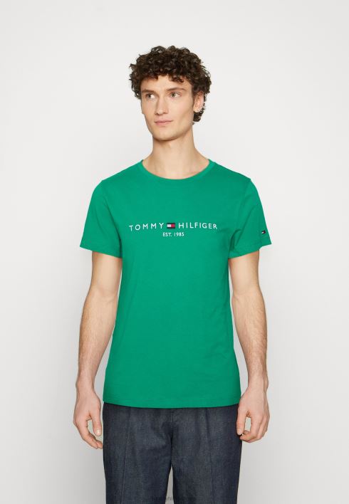 logoga T-särk RJV625404 õueala roheline Tommy Hilfiger