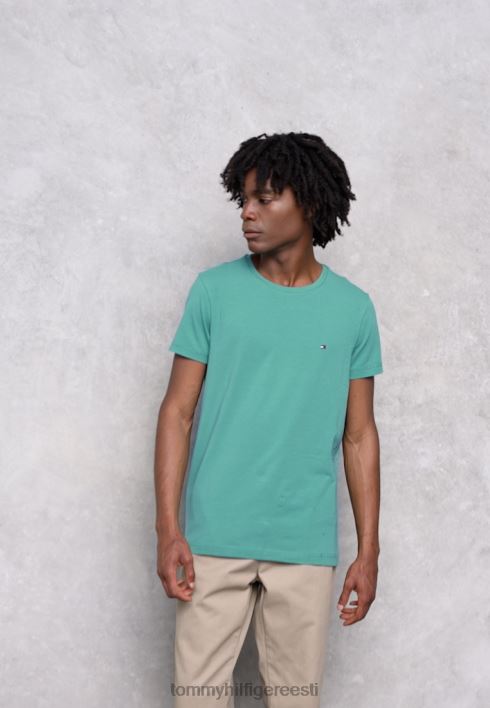põhiline t-särk RJV624592 keskne roheline Tommy Hilfiger