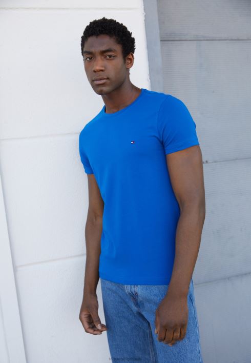 põhiline t-särk RJV625056 kreeka saare sinine Tommy Hilfiger