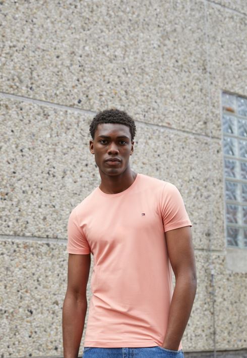 põhiline t-särk RJV627228 härmas virsik Tommy Hilfiger