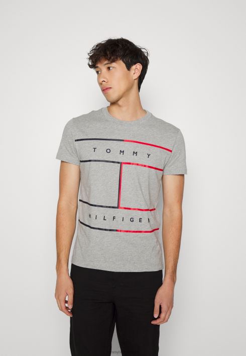 suure lipuga t-särk RJV627931 helehall kanarbik Tommy Hilfiger