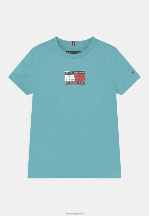 teipgraafika T-särk RJV627904 hari Tommy Hilfiger