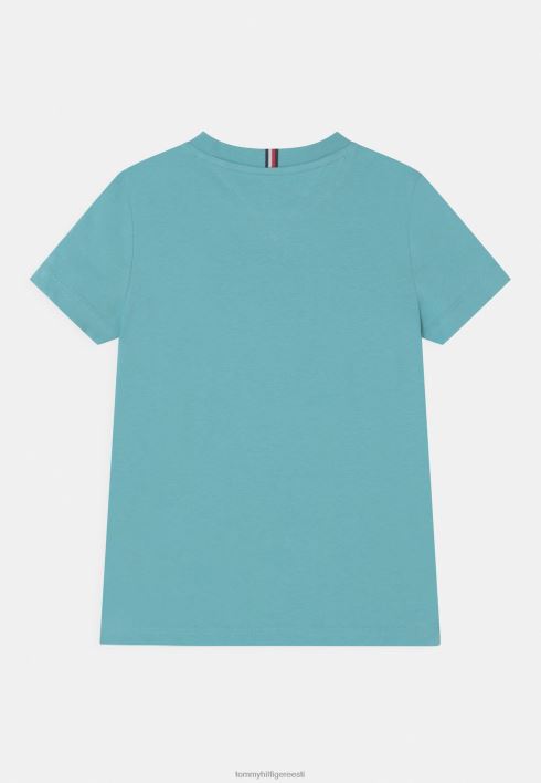 teipgraafika T-särk RJV627904 hari Tommy Hilfiger