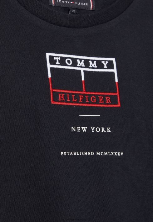 tikitud lipuga t-särk RJV625761 kõrbe taevas Tommy Hilfiger