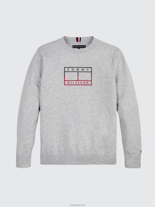 poiste 8-16 liputikandiga dressipluus RJV62231 helehall kanarbik Tommy Hilfiger