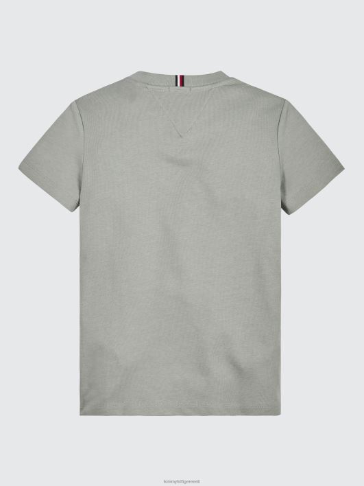 poistele 8-16 ülikooli logoga T-särk RJV62289 pleekinud paju Tommy Hilfiger