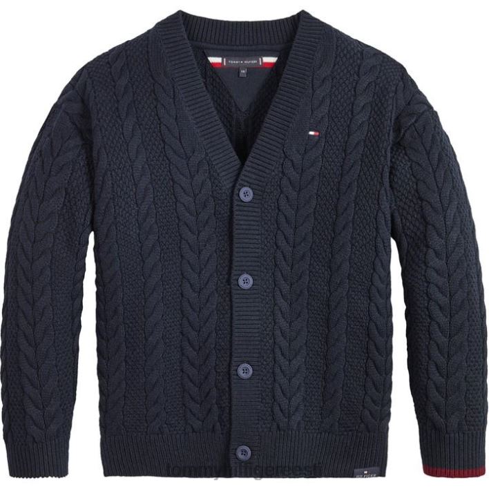 hädavajalik kaabliga kardigan RJV6220948 kõrbe taevas Tommy Hilfiger