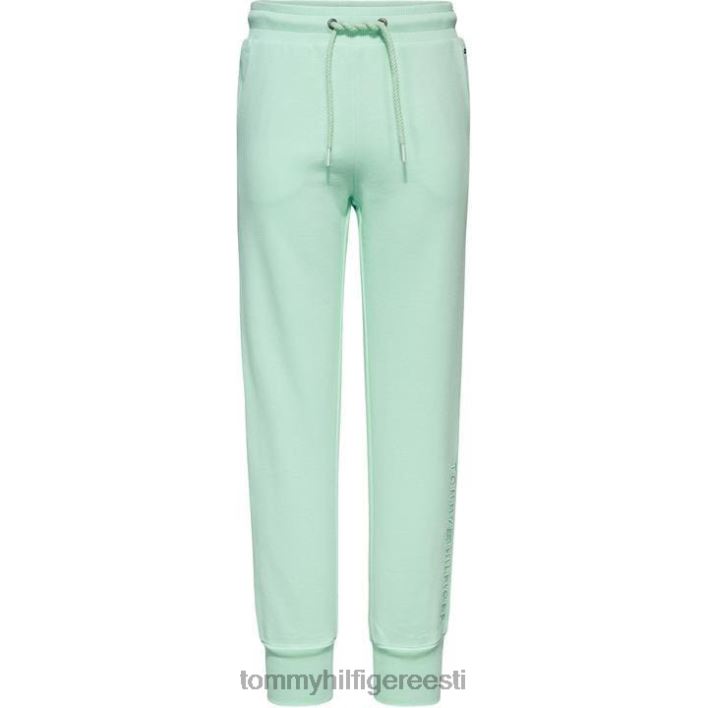 juuniorid hädavajalikud sörkijad RJV6220785 laguun l2z Tommy Hilfiger