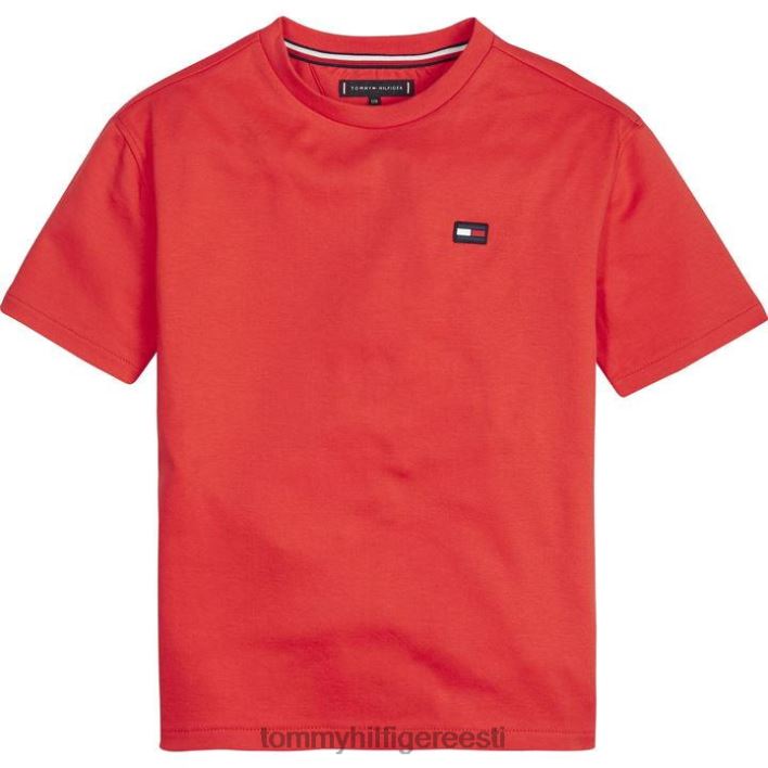 poiste seljatrükiga T-särk RJV6220702 erepunane Tommy Hilfiger