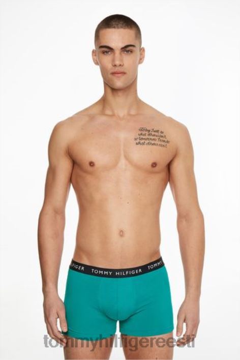 taaskasutatud esmatarbekaupade kohvrid 7 pakk RJV623780 sinine Tommy Hilfiger