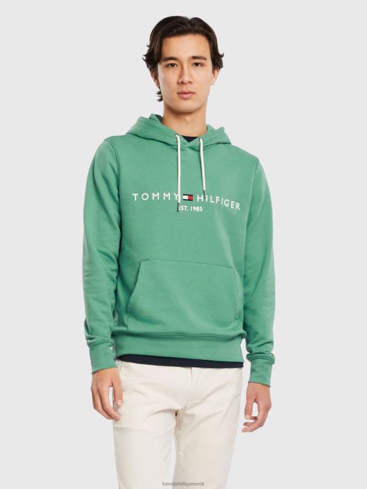 logoga kapuuts RJV621275 keskne roheline Tommy Hilfiger