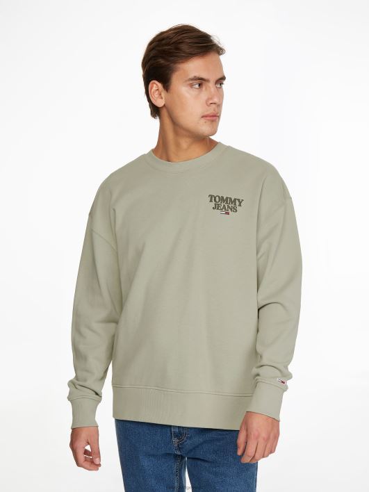 tonaalne graafiline meeskond RJV621348 pleekinud paju Tommy Hilfiger