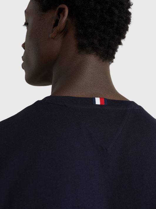 graafilise logoga T-särk RJV621535 kõrbe taevas Tommy Hilfiger