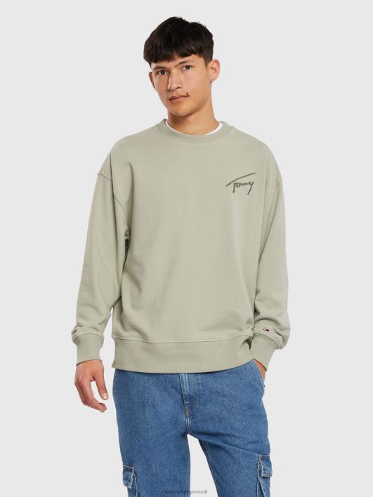 allkirja meeskond RJV62835 pleekinud paju Tommy Hilfiger