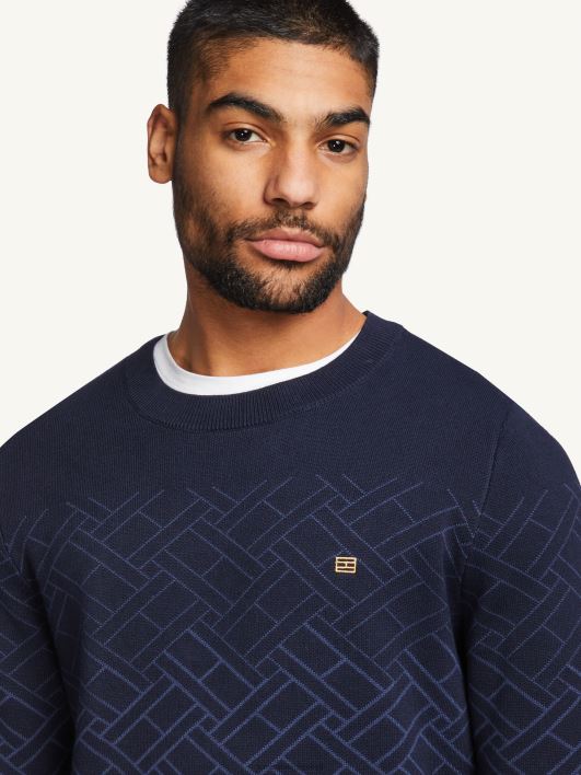 diwali monogramm kampsun RJV62813 kõrbe taevas Tommy Hilfiger