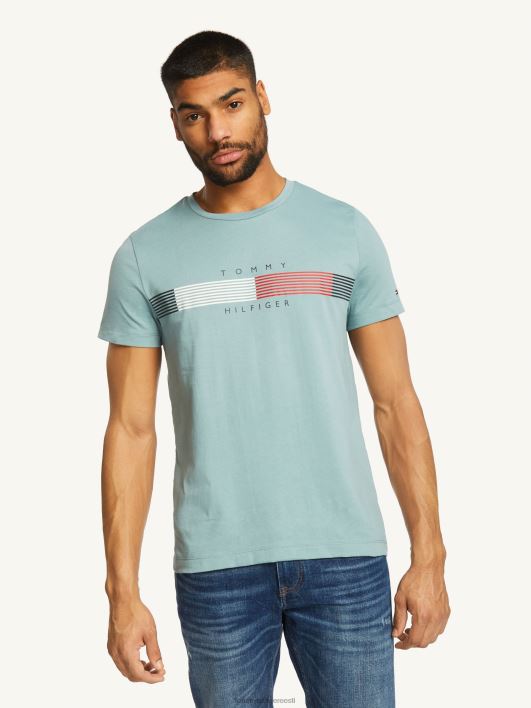 rinnal triibuline graafiline tee RJV62943 ülev sinine Tommy Hilfiger