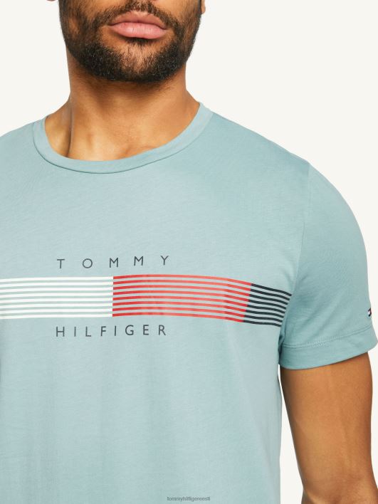rinnal triibuline graafiline tee RJV62943 ülev sinine Tommy Hilfiger
