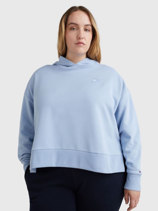 curve naturaalse värviga logoga lõdvestunud kapuutsikud RJV622585 kuu sinine Tommy Hilfiger