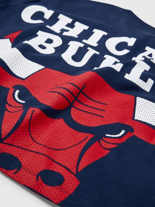 teksad ja nba kärbitud t-särk RJV622817 hämar merevägi/šikk Tommy Hilfiger