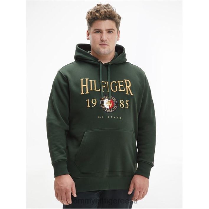 bt graafiline kapuuts RJV6220190 rahvusmets Tommy Hilfiger