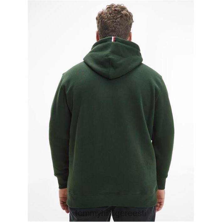 bt graafiline kapuuts RJV6220190 rahvusmets Tommy Hilfiger