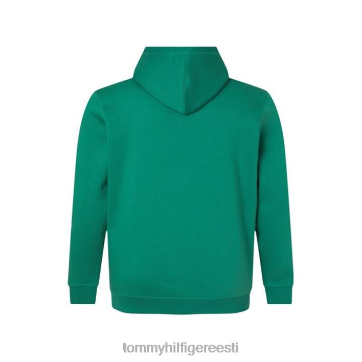 btr graafiline kapuuts RJV6220084 alaska roheline Tommy Hilfiger