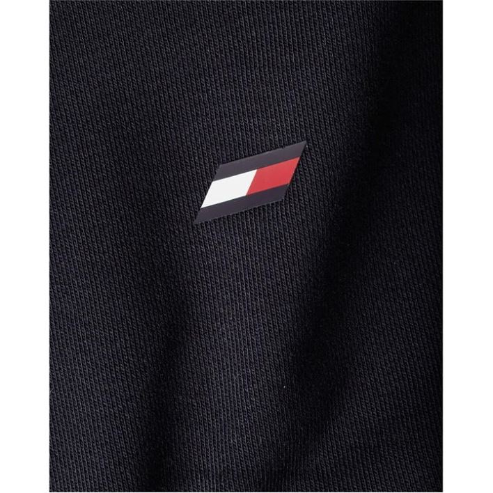 globaalse triibuga kapuuts RJV6220204 kõrbe taevas Tommy Hilfiger