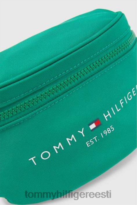 asutatud pätt RJV623700 roheline Tommy Hilfiger