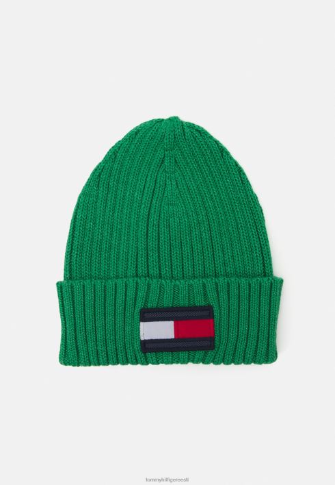 lipnik unisex nokamüts RJV623869 roheline malahhiit Tommy Hilfiger