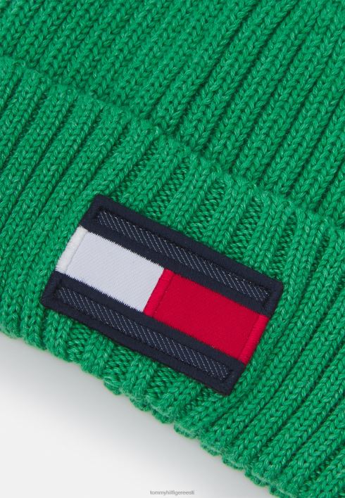 lipnik unisex nokamüts RJV623869 roheline malahhiit Tommy Hilfiger